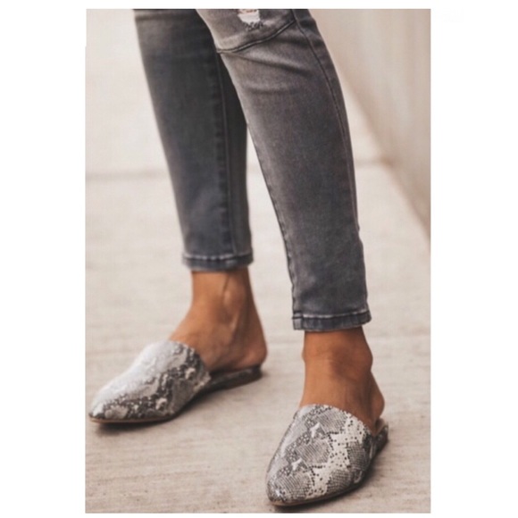 Studded Snake Skin Print Flat Mules - Picture 7 of 7